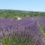 Les Costoliers Dom wakacyjny Châteauneuf-Miravail