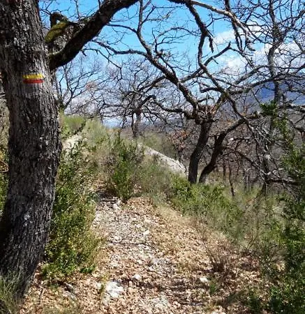 Les Costoliers Nyaraló