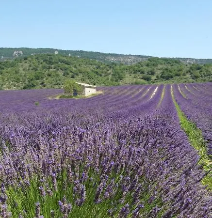 Les Costoliers Hébergement de vacances Châteauneuf-Miravail