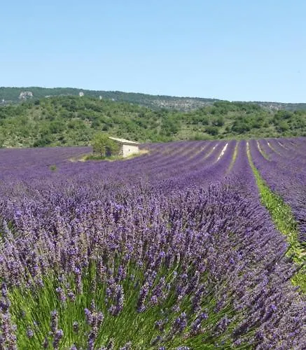 Les Costoliers Prázdninový dům Châteauneuf-Miravail