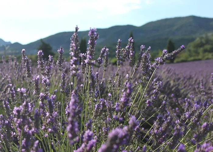 Les Costoliers Prázdninový dům